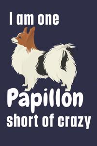 I am one Papillon short of crazy