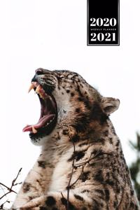 Panther Leopard Cheetah Cougar Week Planner Weekly Organizer Calendar 2020 / 2021 - Sharp Teeth