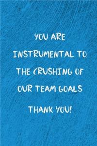 You are instrumental to the crushing of our team goals Thank You!