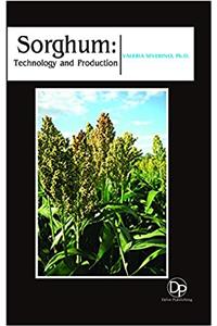Sorghum