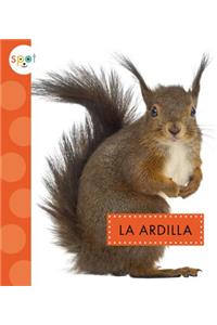 La Ardilla (Squirrels)