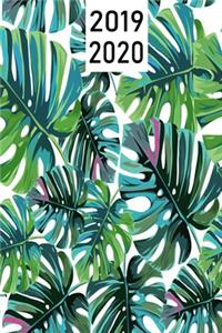 2019-2020