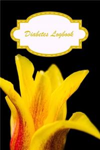 Diabetes Logbook