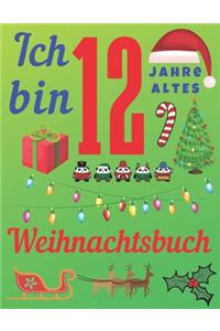 Ich Bin 12 Jahre altes Weihnachtsbuch