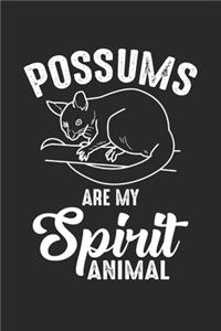 Possums are my Spirit Animal