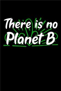 There is no Planet B