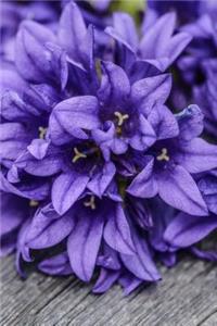 Flowers Notebook