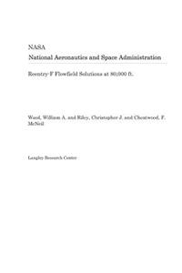 Reentry-F Flowfield Solutions at 80,000 Ft.