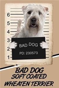 Bad Dog Soft Coated Wheaten Terrier