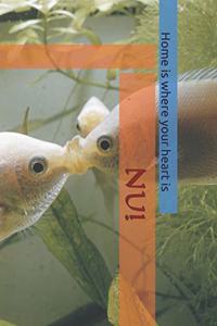 Nu!
