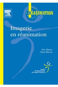 Imagerie En Réanimation