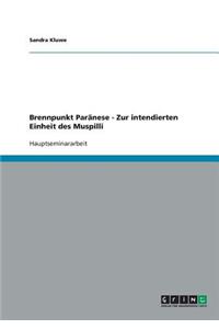 Brennpunkt Paränese - Zur intendierten Einheit des Muspilli