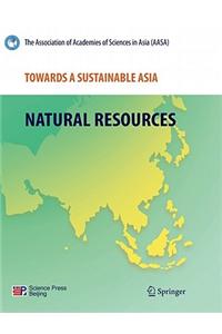 Towards a Sustainable Asia