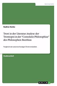 Trost in der Literatur. Analyse der Trosttopoi in der 