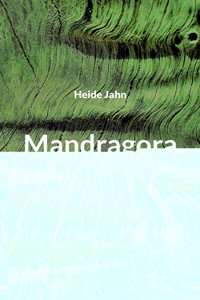 Mandragora