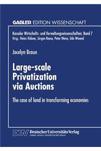 Large-Scale Privatization Via Auctions