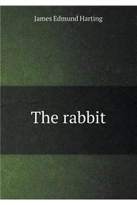 The Rabbit