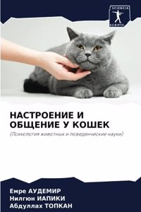 НАСТРОЕНИЕ И ОБЩЕНИЕ У КОШЕК