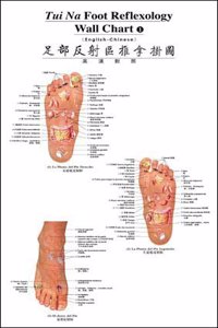 Tui Na Foot Reflexology Wall Chart