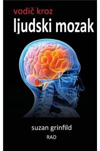 Vodic Kroz Ljudski Mozak