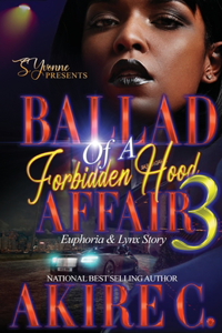 Ballad Of A forbidden Hood Affair 3