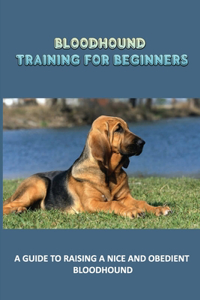 Bloodhound Training For Beginners