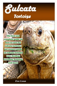 Sulcata Tortoise: The best and complete guide on how to care for sulcata tortoise, pet owners guide on sulcata tortoise care, feeding, breeding, housing, and more