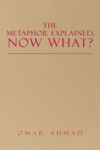 Metaphor Explained, Now What?