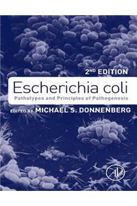 Escherichia Coli