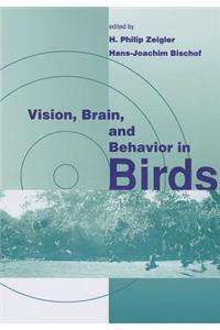 Vision, Brain, and Behavior in Birds