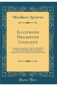 Illustrated Descriptive Catalogue: Fruit and Ornamental Trees, Grape Vines, Small Fruits and Shrubs, Climbing Vines, Plants, Rose Bushes, Etc.; Together with Valuable Hints on the Selection, Propagation and Care of Stock; Spray Calendar and Formula