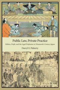 Public Law, Private Practice