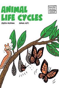 Animal Life Cycles