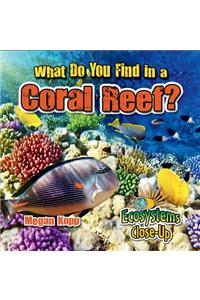 What Do You Find in a Coral Reef?