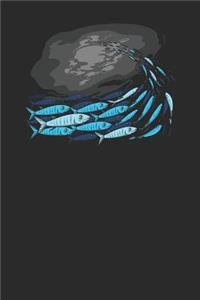 School Of Fish
