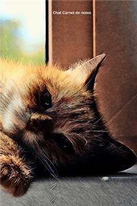 Chat Carnet de notes