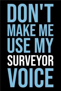 Don't Make Me Use My Surveyor Voice