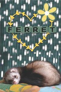 Ferret