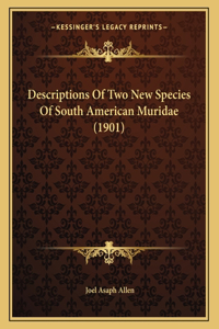 Descriptions Of Two New Species Of South American Muridae (1901)