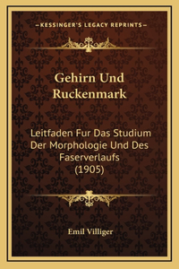 Gehirn Und Ruckenmark