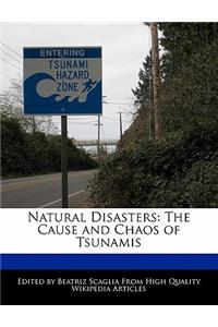 Natural Disasters