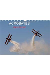 Acrobates dans le ciel 2018