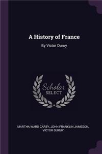A History of France