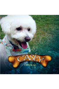 Casey