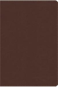 Biblia de Estudio Arco Iris-Rvr 1960