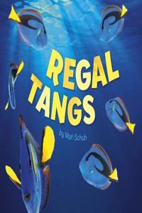 Regal Tangs
