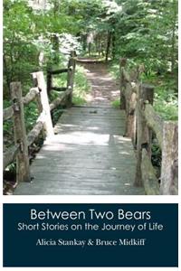 Between Two Bears