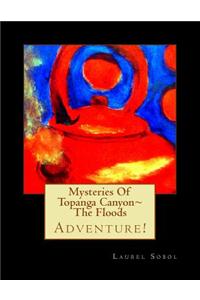 Mysteries Of Topanga Canyon The Floods
