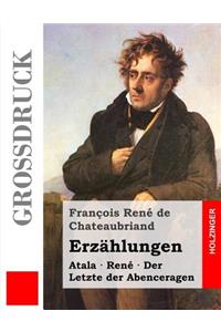 Erzählungen (Großdruck)