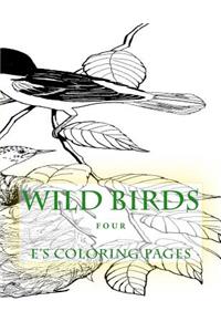 WILD BIRDS four